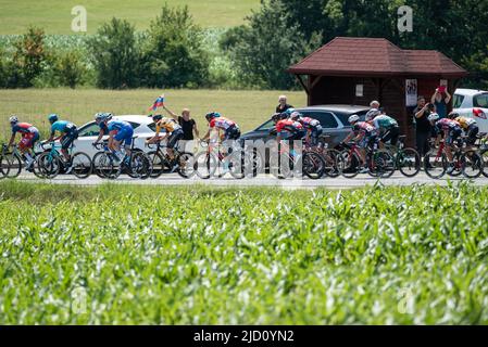 Dole, Slowenien. 16.. Juni 2022. Eine allgemeine Ansicht des Feldes, das während der 28. Tour of Slovenia, 2. Etappe, einer 174,2km Etappe zwischen Ptuj und Rogaska Slatina konkurriert. Kredit: SOPA Images Limited/Alamy Live Nachrichten Stockfoto