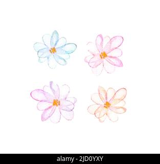 Blühender Aquarell rosa, blauer Baum. Blühende Frühlingsblume. 4 Typen. Wunderschöne Sommerdarstellung. Handzeichnung skizzieren. Japanische Aquarellkarte. Set mit Sakura-Designelementen. Isolierter weißer Hintergrund Stockfoto