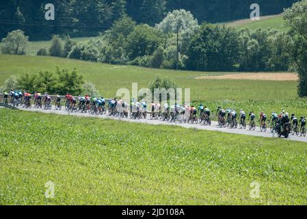 Dole, Slowenien. 16.. Juni 2022. Eine allgemeine Ansicht des Feldes, das während der 28. Tour of Slovenia, 2. Etappe, einer 174,2km Etappe zwischen Ptuj und Rogaska Slatina konkurriert. (Foto von Milos Vujinovic/SOPA Images/Sipa USA) Quelle: SIPA USA/Alamy Live News Stockfoto