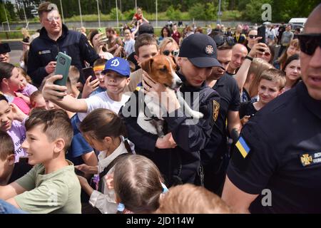 Lviv, Ukraine. 1.. Juni 2022. Kinder werden mit dem berühmten Sapper-Hund Patron bei einem Besuch in Lviv fotografiert Patron ist ein ukrainischer explosiver Sniffer-Hund, Jack Russell Terrier, Maskottchen des Ukrainischen Notstands-Dienstes, der während des russisch-ukrainischen Krieges große Popularität erlangte. Nach Angaben des Staatlichen Notdienstes der Ukraine hatte Patron bis März 19 bei der Entdeckung von mehr als 90 Sprengkörpern geholfen, die von russischen Truppen installiert wurden. (Bild: © Pavlo Palamarchuk/SOPA Images via ZUMA Press Wire) Stockfoto