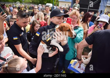 Lviv, Ukraine. 1.. Juni 2022. Kinder werden mit dem berühmten Sapper-Hund Patron bei einem Besuch in Lviv fotografiert Patron ist ein ukrainischer explosiver Sniffer-Hund, Jack Russell Terrier, Maskottchen des Ukrainischen Notstands-Dienstes, der während des russisch-ukrainischen Krieges große Popularität erlangte. Nach Angaben des Staatlichen Notdienstes der Ukraine hatte Patron bis März 19 bei der Entdeckung von mehr als 90 Sprengkörpern geholfen, die von russischen Truppen installiert wurden. (Bild: © Pavlo Palamarchuk/SOPA Images via ZUMA Press Wire) Stockfoto