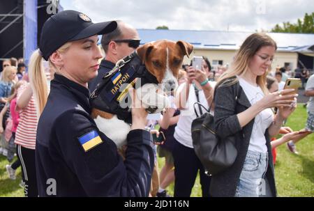 Lviv, Ukraine. 1.. Juni 2022. Ein Mitarbeiter des staatlichen Notdienstes der Ukraine hält den berühmten Sapper-Hund Patron während eines Besuchs in Lviv Patron ist ein ukrainischer explosiver Sniffer-Hund, Jack Russell Terrier, Maskottchen des ukrainischen Notdienstes, der während des russisch-ukrainischen Krieges große Popularität gewann. Nach Angaben des Staatlichen Notdienstes der Ukraine hatte Patron bis März 19 bei der Entdeckung von mehr als 90 Sprengkörpern geholfen, die von russischen Truppen installiert wurden. (Bild: © Pavlo Palamarchuk/SOPA Images via ZUMA Press Wire) Stockfoto