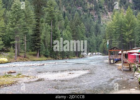 Wasser fließt im Wald des Kumrat-Tals khyber pakhtunkhwa, Pakistan Stockfoto