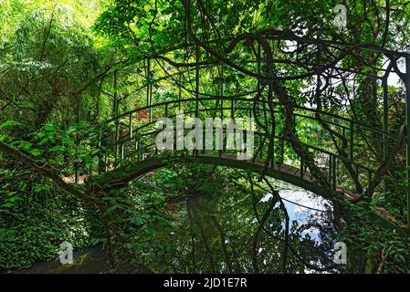 Gebogene Holzbrücke im Schlosspark Dennenlohe, Mittelfranken, Bayern, Deutschland Stockfoto