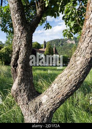 Turm von Schloss Freienstein, Sankt Peter Freienstein, Steiermark, Österreich Stockfoto