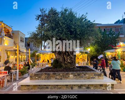 Kos-Griechenland, 05.31.2022: Geschäfte im Stadtzentrum von Kos Island. Großer Olivenbaum in der Mitte eines kleinen Agora-Platzes, umgeben von Restaurants. Stockfoto