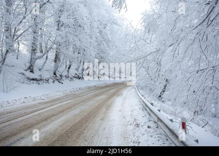 Straße in Sabaduri Wald mit bedecktem Schnee. Winterzeit. Querformat Stockfoto