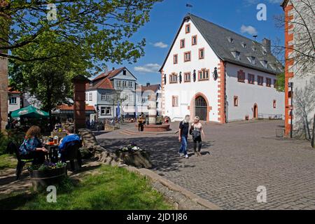 Märchenbrunnen, Prinzessin, Frosch, Wasser spüffender Drache, Säule, Reliefs, Gartenrestaurants, Rathaus, Steinau an der Straße, Main-Kinzig-Kreis Stockfoto