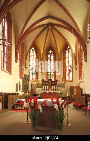 Innenansicht mit Chor der spätgotischen St. Peter und Paul Kirche in Eltville, Rheingau, Taunus, Hessen, Deutschland Stockfoto