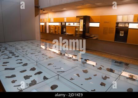 Ausstellung zur Geschichte in ehemaligen Häftlingsbaracken, Gedenkstätte, KZ, KZ Sachsenhausen, Oranienburg bei Berlin, Deutschland Stockfoto