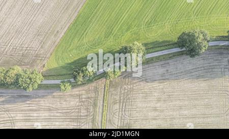 Drohnen Luftaufnahme einer Straße, die zwischen verschiedenen landwirtschaftlichen Feldern in der Gegend von Antwerpen Kempen in Belgien führt. Hochwertige Fotos Stockfoto