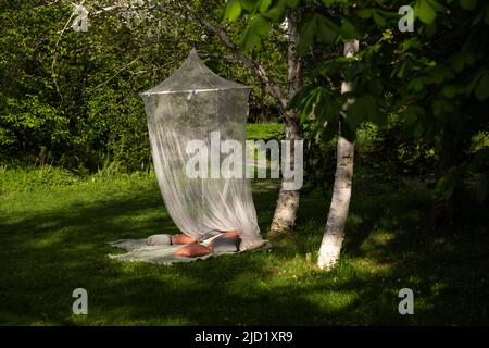 Kissen und Bettdach im Garten Stockfoto