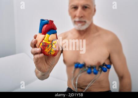 Herzgesundheitskonzept, Herztests, Kardiogramm. Leitender Mann während eines Herztests mit Sensoren hält das anatomische Modell des menschlichen Herzens in der Hand vor Stockfoto