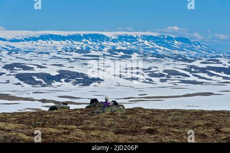 Blick auf die spektakuläre Bergkette Hallingskarvet von Dyranut auf 1300 Meter Höhe auf Hardangervidda, Südnorwegen. Stockfoto