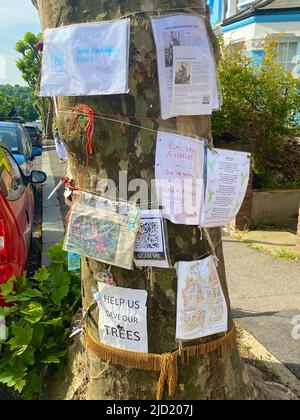 London, Großbritannien. 17.. Juni 2022. Notizen, Gedichte und Bilder, die einen Baum aus dem Londoner Flugzeug (Platanus × acerifolia) schmücken, der in Stroud Green, Haringey, London, Großbritannien, gefällt werden soll. Der Londoner Stadtteil Haringey plant, den 100 Jahre alten Baum sofort zu Fall zu bringen, und die Demonstranten hoffen, dass diese Aktion durch die Besetzung (ein Protestant lebt derzeit in einer Hängematte in den Zweigen) verzögert oder vereitelt werden kann. Kredit: Michael Preston/Alamy Live Nachrichten Stockfoto