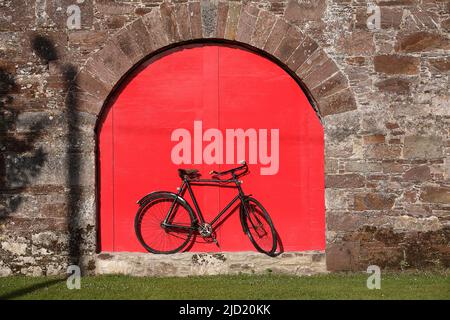 Altes Fahrrad gegen rote Tür Stockfoto