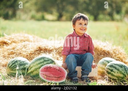 Junge essen Wassermelone. Glückliches Kind auf dem Feld bei Sonnenuntergang. Reife Wassermelonen auf dem Feld in rotem Wagen, Ernte. Stockfoto