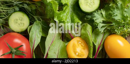 Banner mit Draufsicht auf verschiedene Salatsorten und Gurken, rote und gelbe Tomaten. Junge saftige Sprossen aus Erbsen oder Bohnen, Rübensprossen und grünem Salat. Gesundes Lebensmittelkonzept. Flat Lay Soft Focus Stockfoto