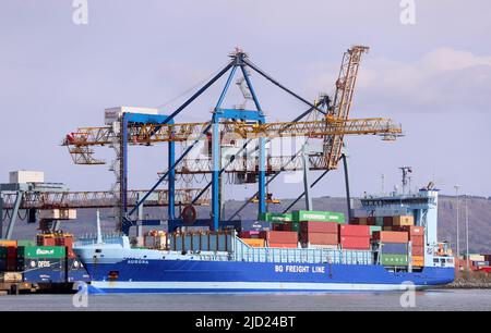 Belfast Container Terminal im Hafen von Belfast, Nordirland. Der wichtigste Hafen für den Handel mit Großbritannien, der EU und weltweit. Stockfoto