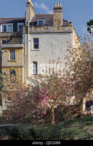 Frühling in Bath Stockfoto