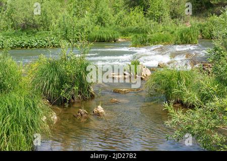 Schwelle auf dem kleinen Fluss Taiga Suenga, Gebiet Nowosibirsk Stockfoto