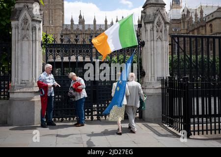 Zwei Demonstranten stehen mit der irischen und der EU-Flagge vor dem britischen parlament und demonstrieren ihre Ansichten gegen die britische Position, Teile des 2020 mit der EU getroffenen Abkommens nach dem Brexit zu streichen. Premierminister Boris Johnson und Außenminister haben erklärt, dass sie das Nordirland-Protokoll ändern wollen, um den Güterverkehr zwischen Großbritannien und Nordirland zu erleichtern. Die EU ist dagegen und sagt, dass sie gegen das Völkerrecht verstoßen würde. Stockfoto