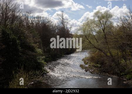 Kelvingrove Park in Glasgow, Schottland, 8. April 2022. N55 52,215' W4 17,067' Stockfoto