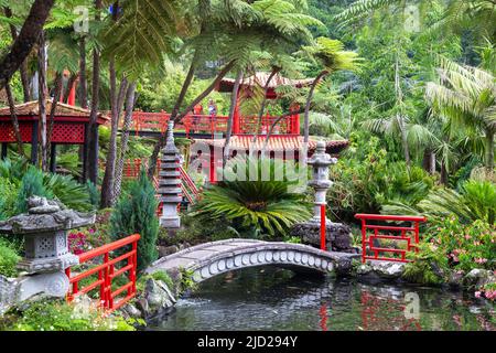 FUNCHAL, PORTUGAL - 24. AUGUST 2021: Dies ist ein Außenbereich des Süd-Orientalischen Gartens im Monte Tropical Park. Stockfoto