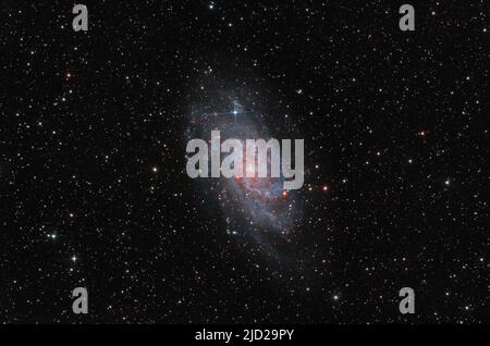 Tringaulum Galaxy, Messier 33 (M33), die große Galaxie im Sternbild Triangulum. Stockfoto