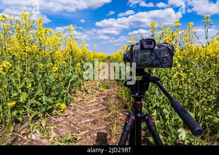 Moderne professionelle spiegellose Kamera auf Stativ Aufnahme von gelbem Feld auf Stativ, Nahaufnahme Stockfoto