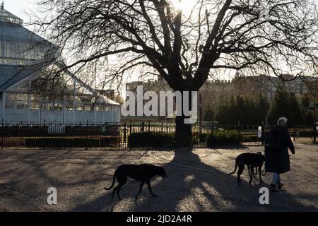 Gewächshäuser im Wintergarten, die an das People’s Palace Museum auf Glasgow Green in Glasgow, Schottland, angeschlossen sind, 8. April 2022. N55 51,049' W4 14,326' Stockfoto