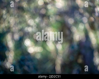 Abstrakter grüner defokussierte Hintergrund. Hintergrundbild Bild Kunst Stockfoto