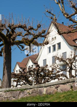 Zürich, Schweiz - März 26. 2022: Villa Sonnenberg hinter Platanen Stockfoto