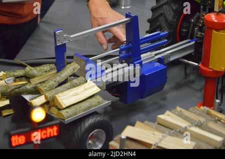 Modell Mini Säge Holz sägen. Modellbaumesse in Bad Salzuflen 2022 Stockfoto