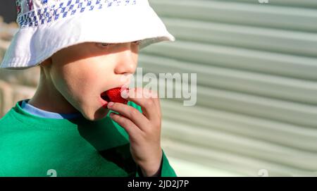 Ein Junge in einem panamahut isst an einem sonnigen Sommertag süße rote Erdbeeren. Speicherplatz kopieren Stockfoto