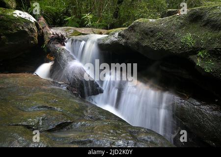 Kaskaden von Wasserfällen, die zwischen Felsen im Buschland fallen Stockfoto