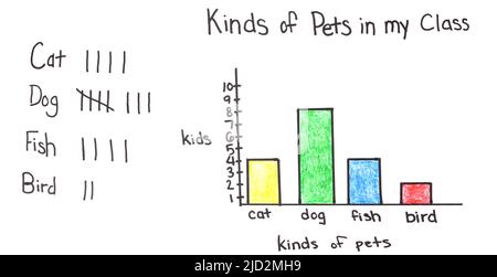 Ein Balkendiagramm mit den Datensätzen von vier verschiedenen Haustierarten, die Schüler zu Hause haben – Katzen, Hunde, Fische, Vögel. Stockfoto