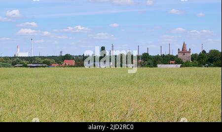 17. Juni 2022, Brandenburg, Schwedt/oder: Schächte der PCK-Raffinerie in Schwedt greifen nach dem Himmel. Die Bundesregierung gibt der PCK-Raffinerie in Schwedt, Brandenburg, eine Produktionsgarantie für die nächsten Jahre. Die Raffinerie produziert derzeit mit russischem Öl aus der 'Druzhba'-Pipeline. Im Rahmen des Ölembargos der Europäischen Union gegen Russland will die deutsche Regierung jedoch darauf verzichten und sucht nach Alternativen für die Produktion in Schwedt. Foto: Annette Riedl/dpa Stockfoto