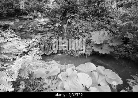 Hever, Kent, UK- Juni 17 2022: Hever Castle in kent das Elternhaus von Anne Boleyn. Stockfoto