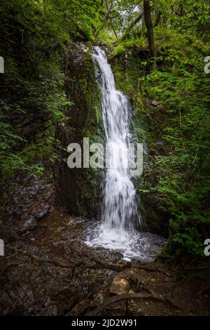 Die Wasserfälle von Tom Gill unterhalb von Tarn Hows, Lake District, England Stockfoto