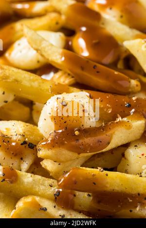 Hausgemachte Käsesorten mit Pommes Frites aus Poutine mit Soße und Käsecurds Stockfoto