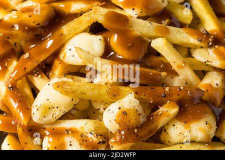 Hausgemachte Käsesorten mit Pommes Frites aus Poutine mit Soße und Käsecurds Stockfoto