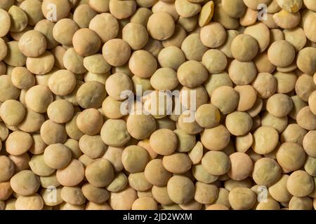 RAW Brown Organic Linsen Hülsenfrüchte in einer Schüssel Stockfoto