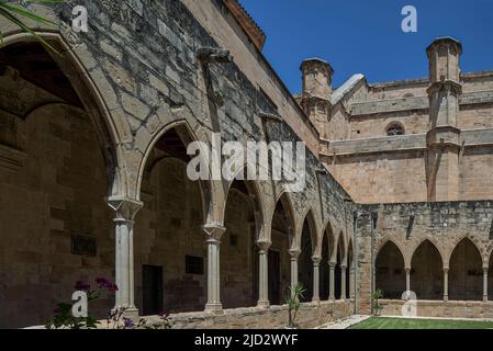 Katalanische gotische Kreuzgang Innenraum der Kathedrale Santa María de Tortosa aus dem 14.. Jahrhundert, Provinz Tarragona, Katalonien, Spanien, Europa Stockfoto