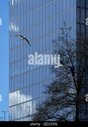 Details. 103 Colmore Row, Birmingham, Großbritannien. Architekt: Doone Silver Kerr, 2022. Stockfoto