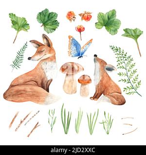 Mama und Baby Fuchs, Pilze, goldene Beeren, Schmetterling und grüne Pflanzen isoliert auf weißem Hintergrund. Aquarelldarstellung. Stockfoto