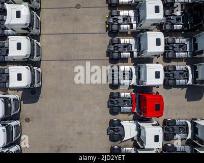 Luftaufnahme neue Lastwagen aufgereiht im Hafen für Import und Export Geschäft Logistik zu Händler zum Verkauf, Automobil-und Automobil-Lkw-Parkplatz. Stockfoto