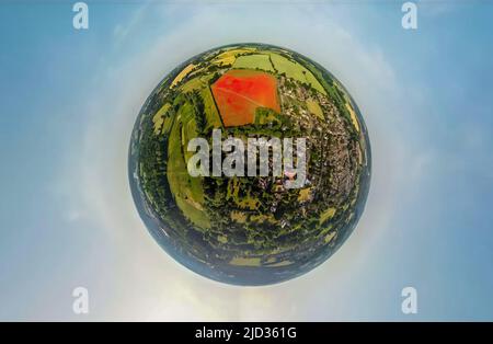 Eine kleine Planetenansicht von blühenden Mohnblumen auf einem Feld in der Nähe von Ipswich, Großbritannien Stockfoto