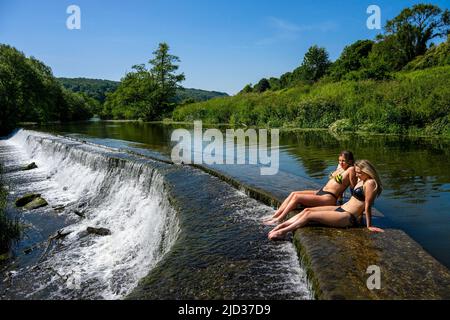 Die Menschen genießen das Wasser in Warleigh Weir am Fluss Avon in Somerset, während die Temperaturen über das Vereinigte Königreich steigen. Stockfoto