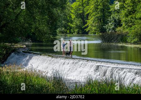 Die Menschen genießen das Wasser in Warleigh Weir am Fluss Avon in Somerset, während die Temperaturen über das Vereinigte Königreich steigen. Stockfoto